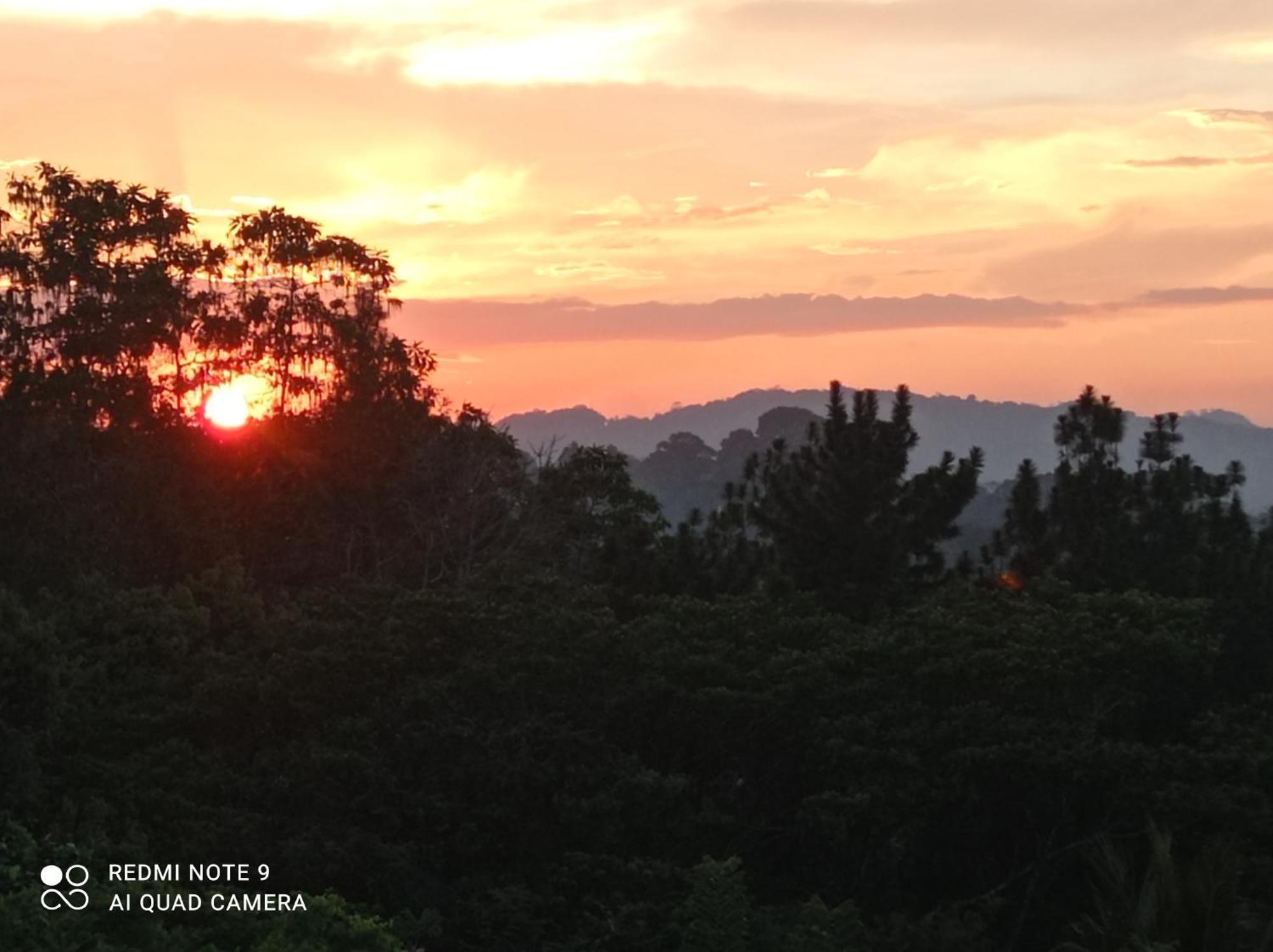 Villa Forest View - No: 50/17 Kandy Exteriér fotografie