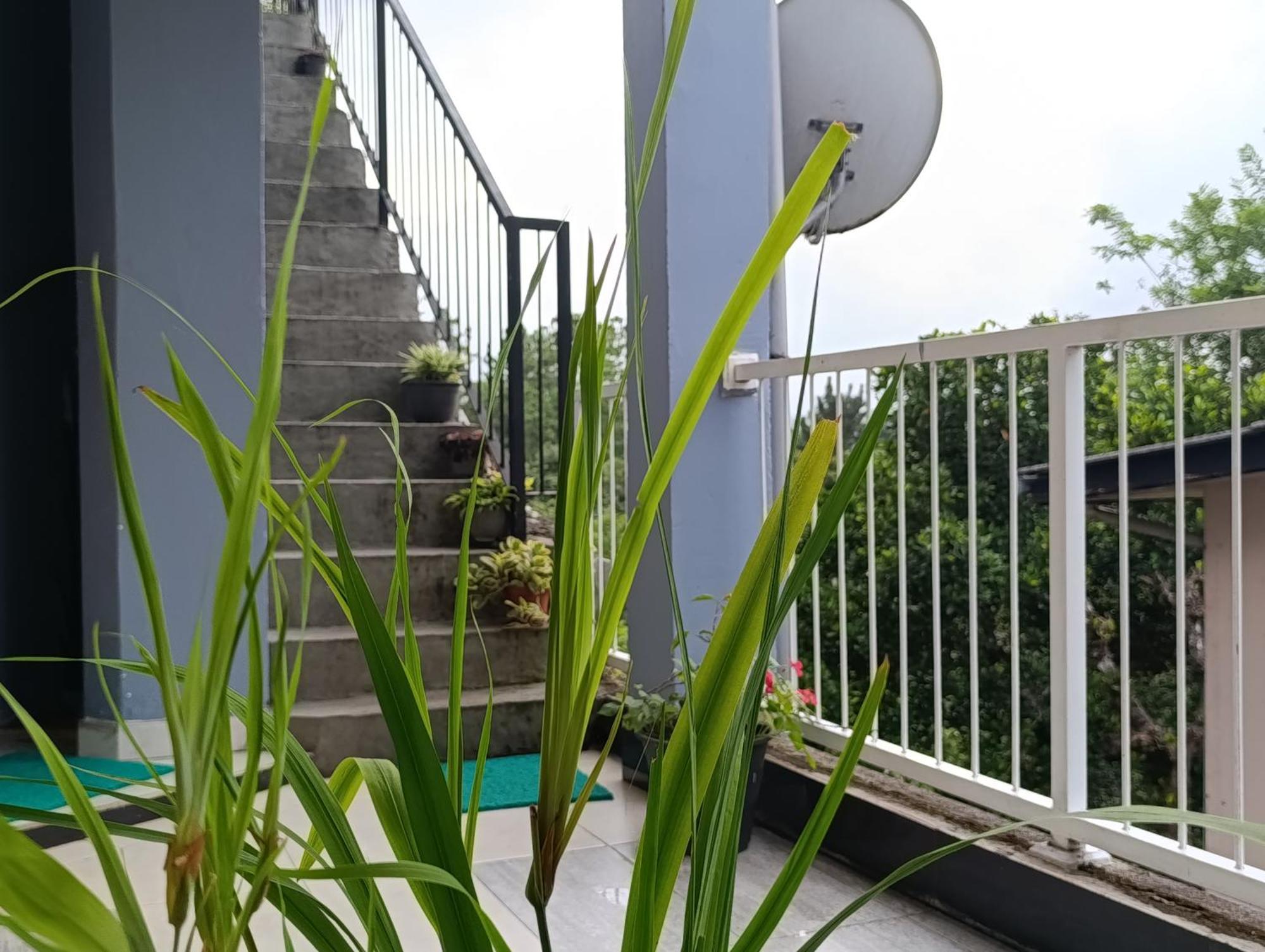 Villa Forest View - No: 50/17 Kandy Exteriér fotografie